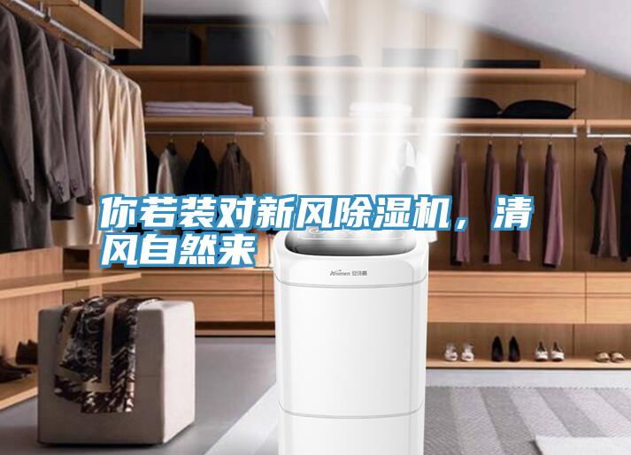 你若裝對新風黄瓜视频在线播放，清風自然來