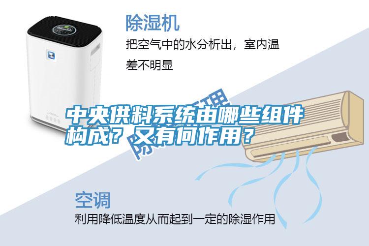 中央供料係統由哪些組件構成？又有何作用？
