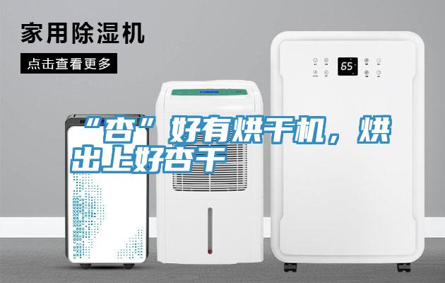“杏”好有烘幹機，烘出上好杏幹