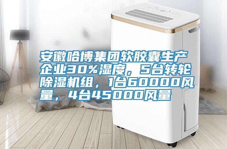 安徽哈博集團軟膠囊生產企業30%濕度，5台轉輪黄瓜视频在线播放組，1台60000風量，4台45000風量