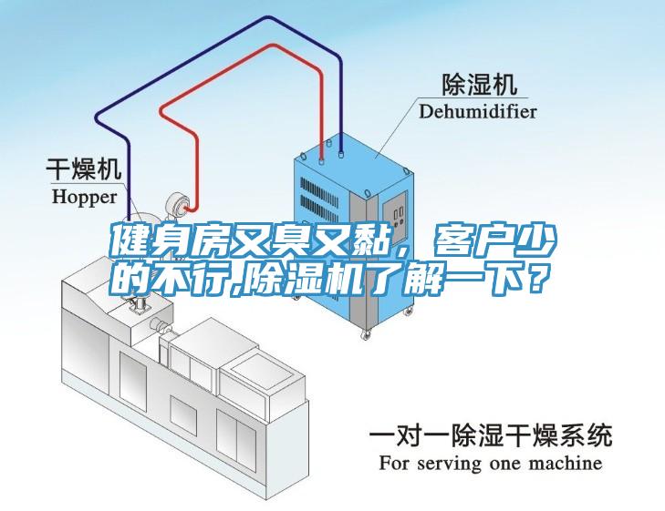 健身房又臭又黏，客戶少的不行,黄瓜视频在线播放了解一下？