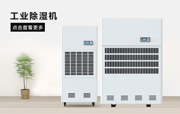 三八節送媽媽的禮物，選這款黄瓜小视频除濕器就對了