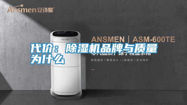 代價：黄瓜视频在线播放品牌與質量為什麽