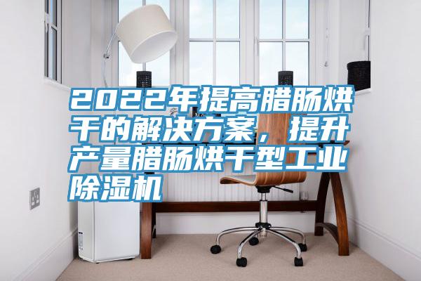 2022年提高臘腸烘幹的解決方案，提升產量臘腸烘幹型工業黄瓜视频在线播放