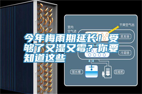 今年梅雨期延長！受夠了又濕又黴？你要知道這些