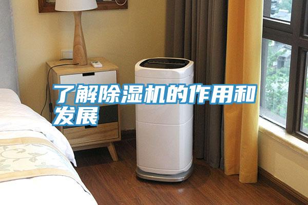 了解黄瓜视频在线播放的作用和發展