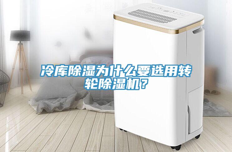 冷庫除濕為什麽要選用轉輪黄瓜视频在线播放？