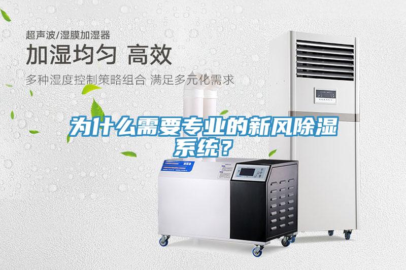 為什麽需要專業的新風除濕係統？