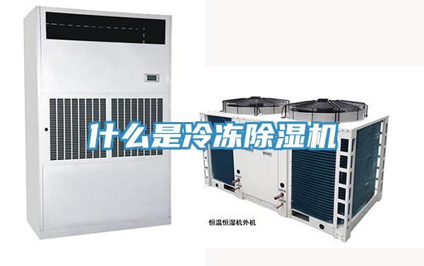 什麽是冷凍黄瓜视频在线播放