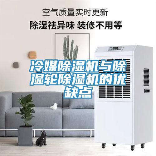 冷媒黄瓜视频在线播放與除濕輪黄瓜视频在线播放的優缺點