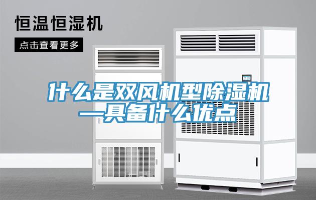 什麽是雙風機型黄瓜视频在线播放—具備什麽優點