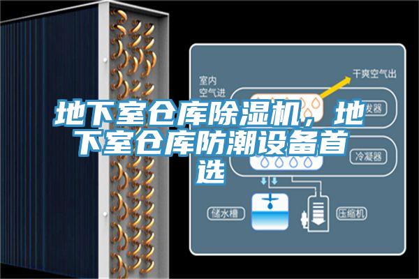 地下室倉庫黄瓜视频在线播放，地下室倉庫防潮設備首選