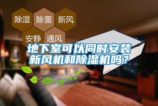 地下室可以同時安裝新風機和黄瓜视频在线播放嗎？