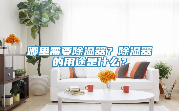 哪裏需要除濕器？除濕器的用途是什麽？