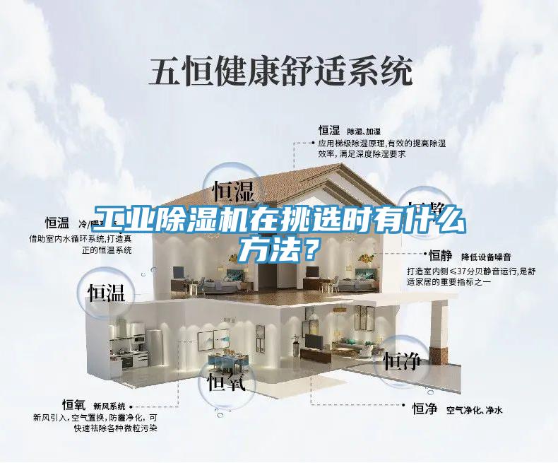 工業黄瓜视频在线播放在挑選時有什麽方法？