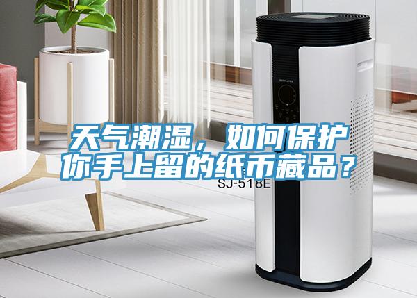 天氣潮濕，如何保護你手上留的紙幣藏品？