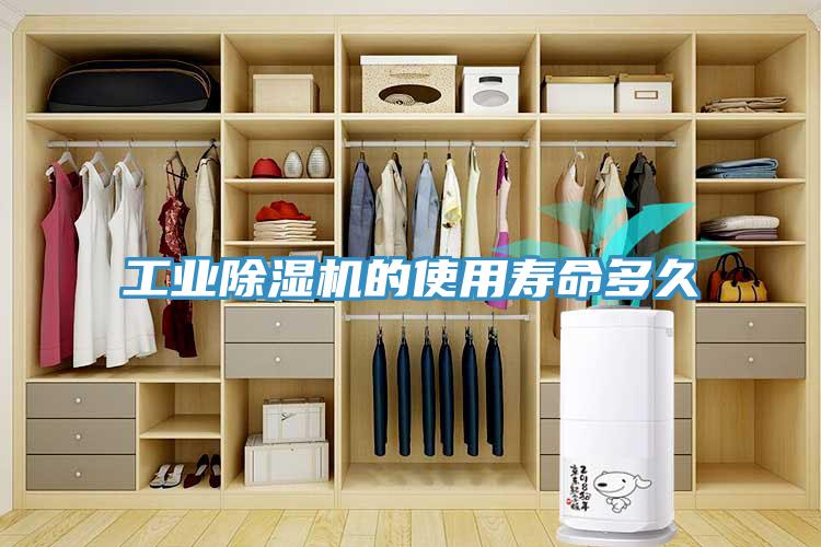 工業黄瓜视频在线播放的使用壽命多久