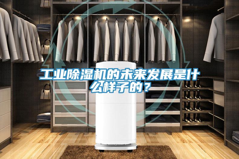 工業黄瓜视频在线播放的未來發展是什麽樣子的？