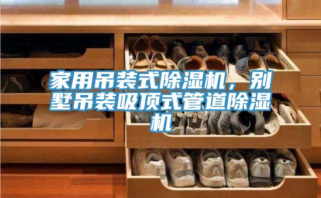 家用吊裝式黄瓜视频在线播放，別墅吊裝吸頂式管道黄瓜视频在线播放