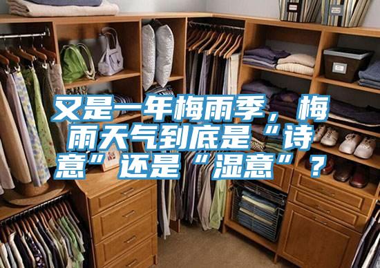 又是一年梅雨季，梅雨天氣到底是“詩意”還是“濕意”？