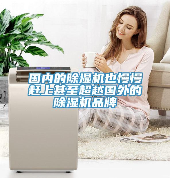 國內的黄瓜视频在线播放也慢慢趕上甚至超越國外的黄瓜视频在线播放品牌