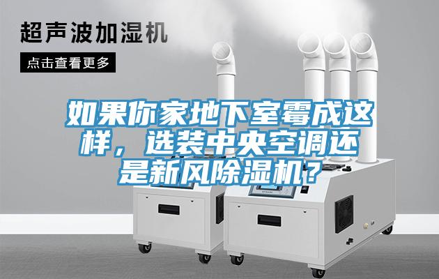 如果你家地下室黴成這樣，選裝中央空調還是新風黄瓜视频在线播放？
