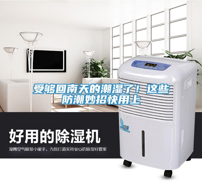 受夠回南天的潮濕了！這些防潮妙招快用上