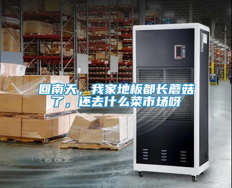 回南天，我家地板都長蘑菇了，還去什麽菜市場呀