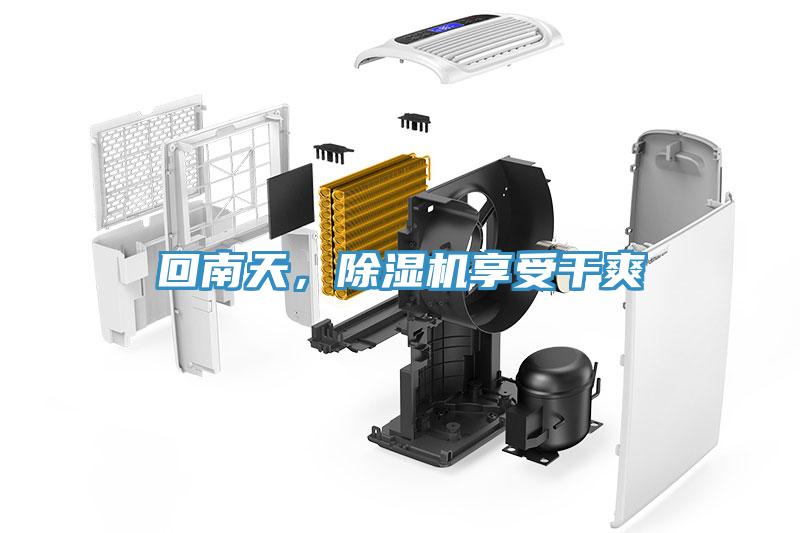回南天，黄瓜视频在线播放享受幹爽