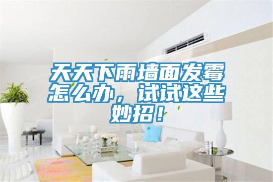 天天下雨牆麵發黴怎麽辦，試試這些妙招！