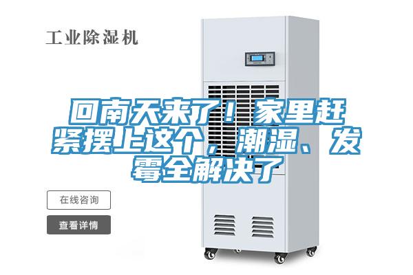 回南天來了！家裏趕緊擺上這個，潮濕、發黴全解決了
