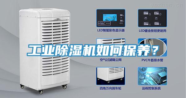 工業黄瓜视频在线播放如何保養？