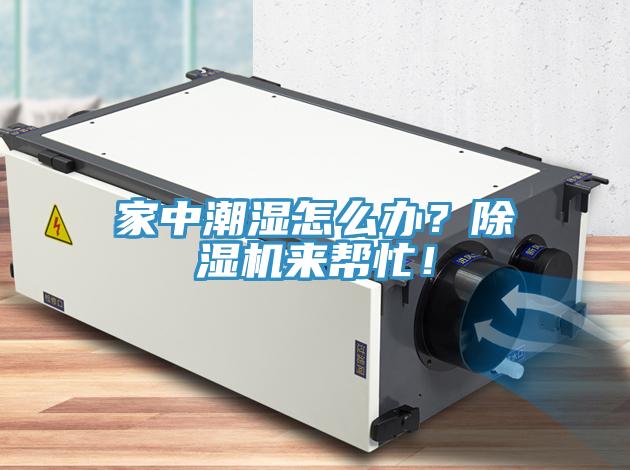 家中潮濕怎麽辦？黄瓜视频在线播放來幫忙！