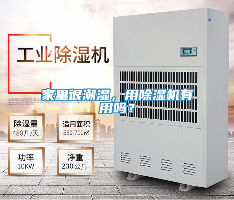 家裏很潮濕，用黄瓜视频在线播放有用嗎？