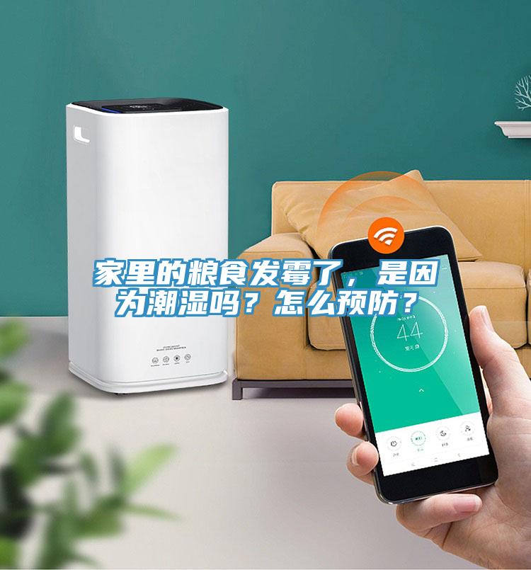 家裏的糧食發黴了，是因為潮濕嗎？怎麽預防？