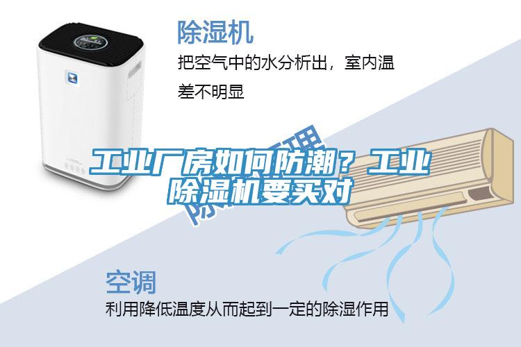 工業廠房如何防潮？工業黄瓜视频在线播放要買對