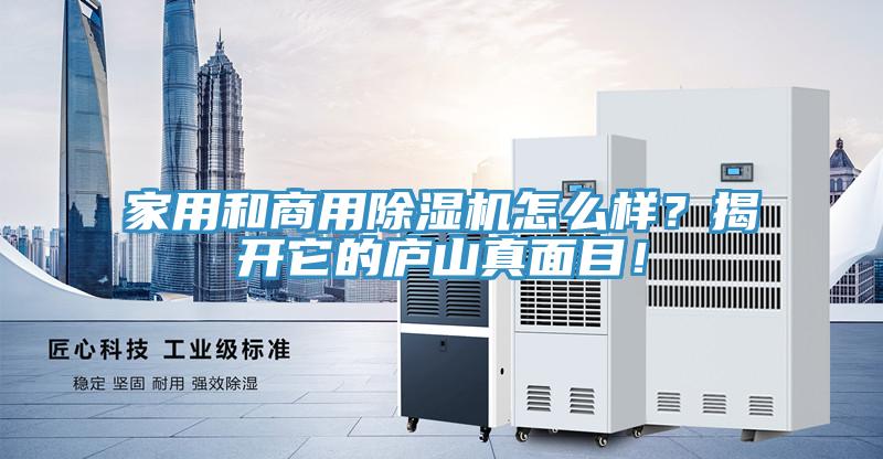 家用和商用黄瓜视频在线播放怎麽樣？揭開它的廬山真麵目！