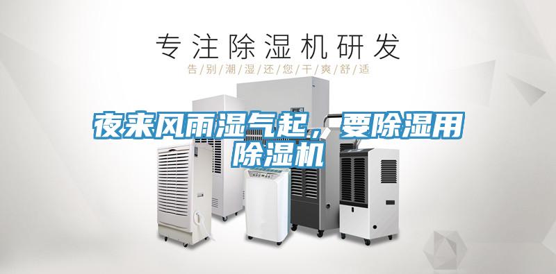 夜來風雨濕氣起，要除濕用黄瓜视频在线播放