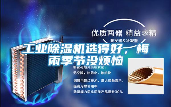 工業黄瓜视频在线播放選得好，梅雨季節沒煩惱