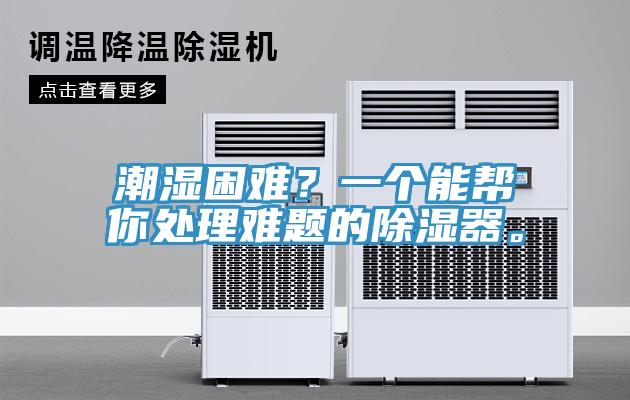 潮濕困難？一個能幫你處理難題的除濕器。