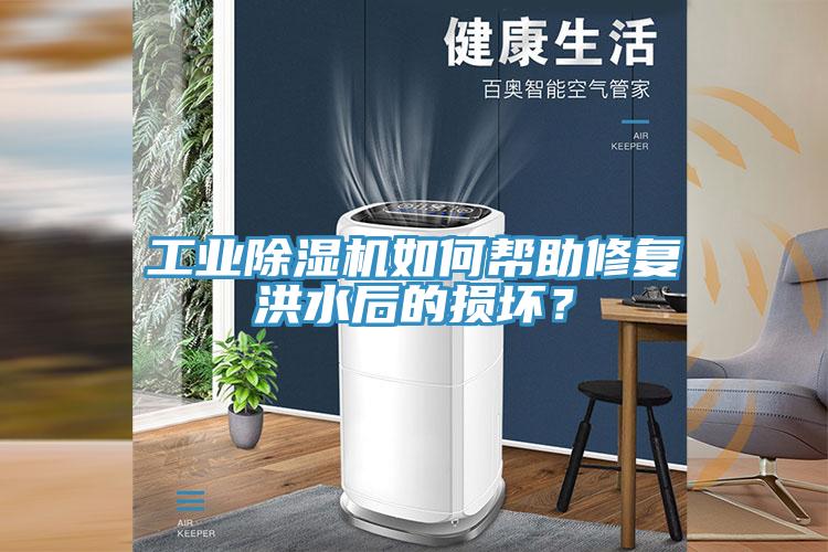 工業黄瓜视频在线播放如何幫助修複洪水後的損壞？