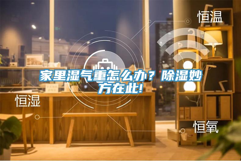 家裏濕氣重怎麽辦？除濕妙方在此!