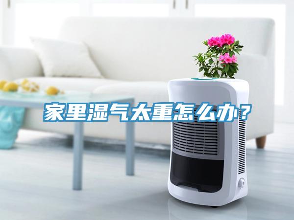 家裏濕氣太重怎麽辦？