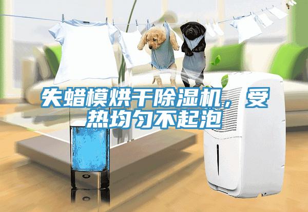 失蠟模烘幹黄瓜视频在线播放，受熱均勻不起泡