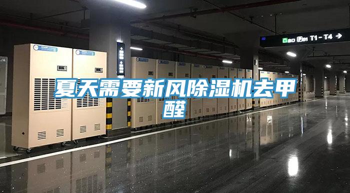 夏天需要新風黄瓜视频在线播放去甲醛