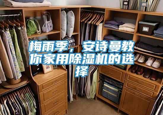 梅雨季，黄瓜小视频教你家用黄瓜视频在线播放的選擇