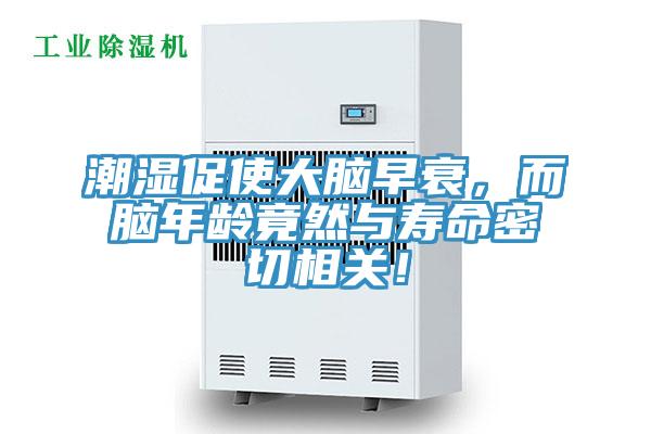 潮濕促使大腦早衰，而腦年齡竟然與壽命密切相關！