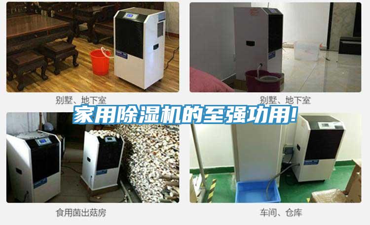 家用黄瓜视频在线播放的至強功用!