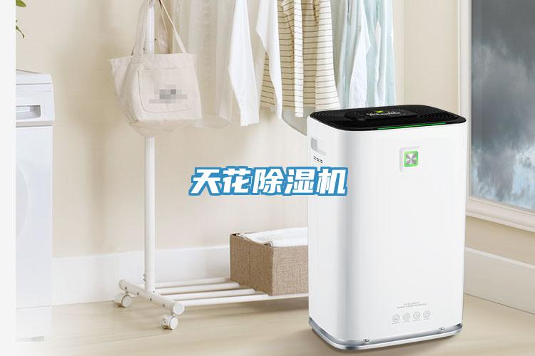 天花黄瓜视频在线播放