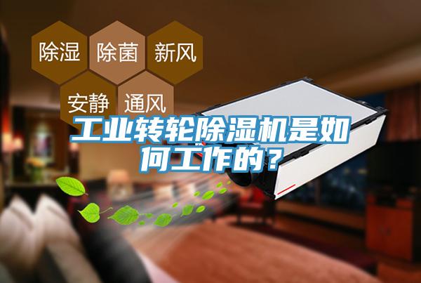 工業轉輪黄瓜视频在线播放是如何工作的？